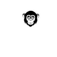 DSCOM AGÊNCIA